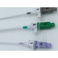 Femoral 5F introducer sheath kit